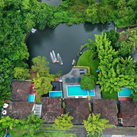 Athirappilly Athirapally Green Trees מראה חיצוני תמונה