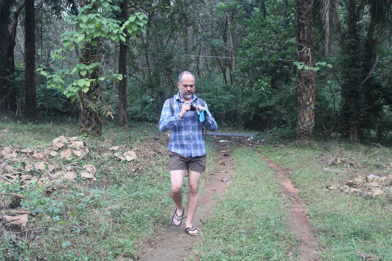 Athirappilly Athirapally Green Trees מראה חיצוני תמונה